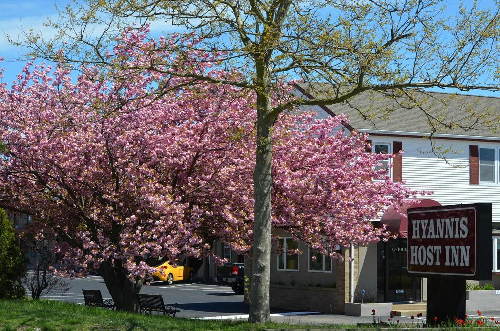 Hyannis Host Inn 외부 사진
